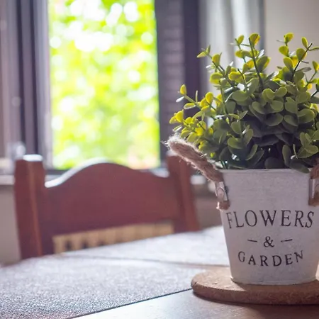 Casa Di Alice Vakantiehuis *